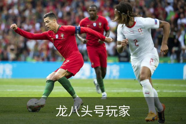 龙八头号玩家公司简介展示图